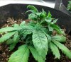 20130509_114408-1-1.jpg