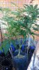 20130509_223208_PerfectlyClear_0001.jpg 20130509_223208_PerfectlyClear_0001.jpg