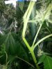20130510_093640.jpg