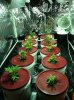 Hydro Setup 8.jpg