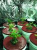 Hydro Setup 9.jpg