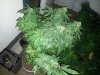 20130507_063044.jpg