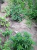 IMG_4165.jpg IMG_4165.jpg