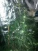 IMG_20130511_181810.jpg