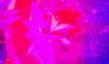 IMAG0227.jpg