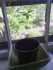 IMG_20130513_153525.jpg