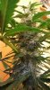 20130513_191512.jpg