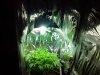 20130514_111443.jpg