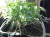 20130514_110317.jpg