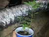20130514_220010.jpg