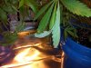20130517_232137.jpg 20130517_232137.jpg