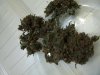 GDP-P1.jpg