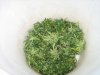 five gallon bucket of green dreams.jpg