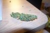 100_3700.jpg