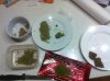 IMG_3336.jpg IMG_3336.jpg