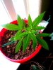 2013-05-19 11.04.06.jpg