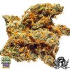 Grandaddy_Purple_Seeds_bay11.jpg