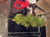 2013-05-20 15.36.24.jpg