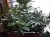 C360_2013-05-20-07-56-07.jpg