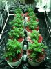 Hydro Setup 11.jpg