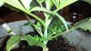 2013-05-21_22-46-25_961.jpg 2013-05-21_22-46-25_961.jpg