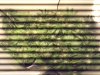 969175_10151378859782003_1758931796_n.jpg 969175_10151378859782003_1758931796_n.jpg