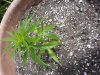 20130523_105847.jpg