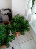 IMG_20130523_203352.jpg