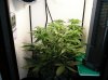 SuperBox Week Six 011.jpg