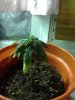 IMG_2048.jpg IMG_2048.jpg