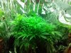 20130524_080008.jpg