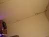 DSC01700_cleaned.jpg
