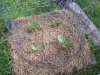 100_4430.jpg 100_4430.jpg