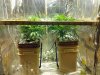 20130526_114226.jpg