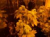 100_2715.jpg