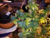 20130527_215045.jpg 20130527_215045.jpg