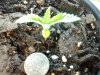 20130528_162335.jpg 20130528_162335.jpg