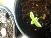20130528_162354.jpg 20130528_162354.jpg