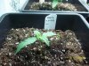 100_0182.jpg