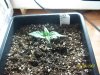 100_0178.jpg