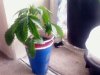 PIC-0530.jpg