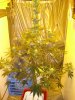 10-17-08 023.jpg