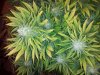 20130529_044542.jpg