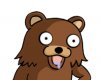 bear.jpg