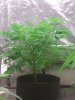 2013-03-26 16.31.25.jpg