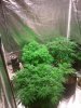 2013-04-04 20.51.13.jpg
