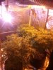 2013-05-01 07.24.06.jpg