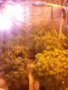 2013-05-09 01.18.28.jpg
