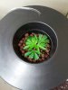 20130517_151129.jpg 20130517_151129.jpg