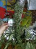 nov. 28th..various 294.jpg